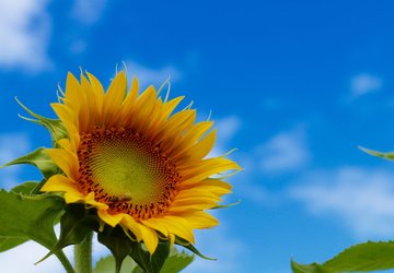 Achtung: Sommerpause 2019!